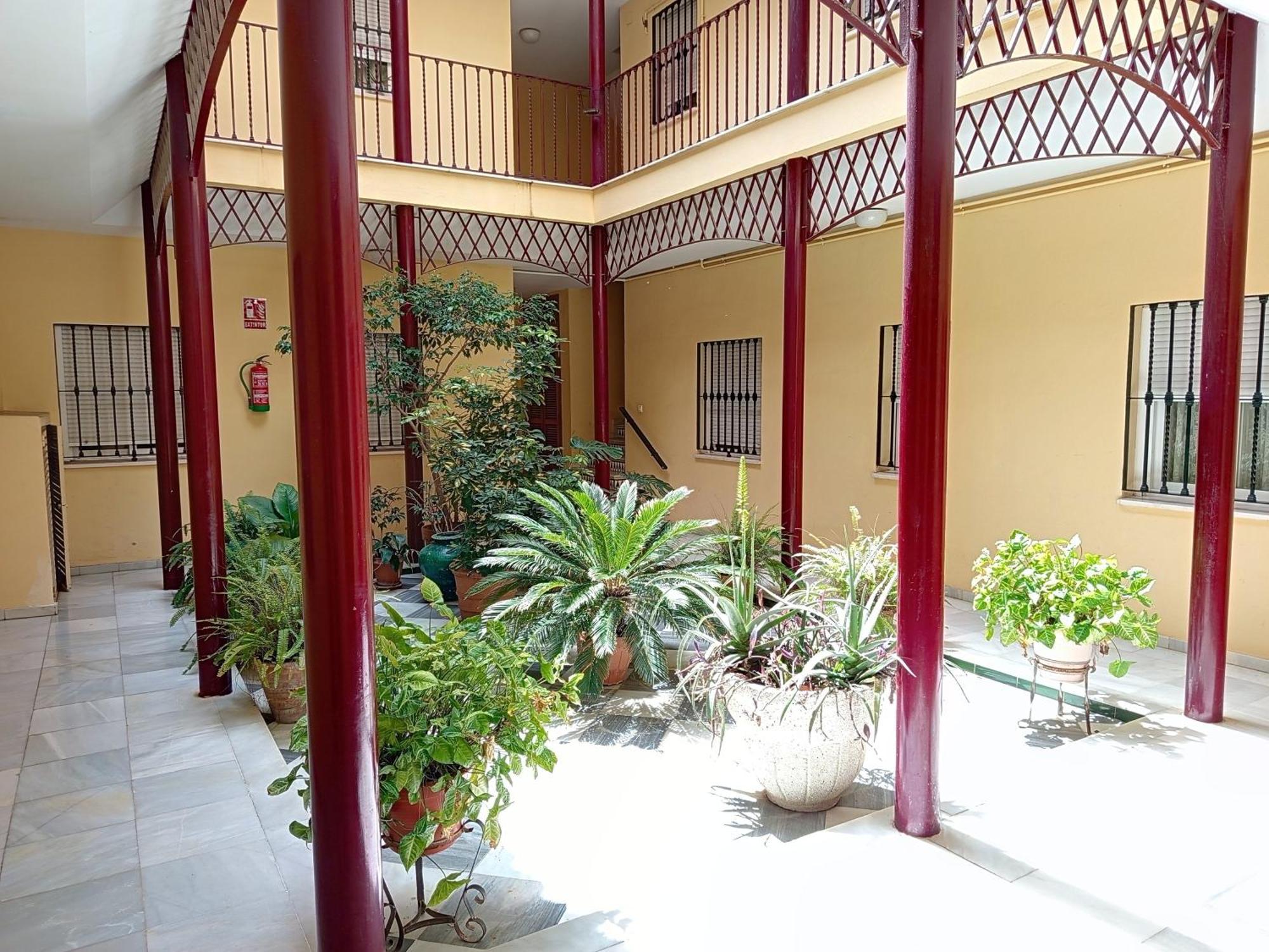 La Cofia Appartement